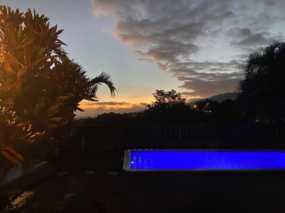 Cocooning Tropic Studio Avec Jacuzzi Privatif サン・ルイ エクステリア 写真