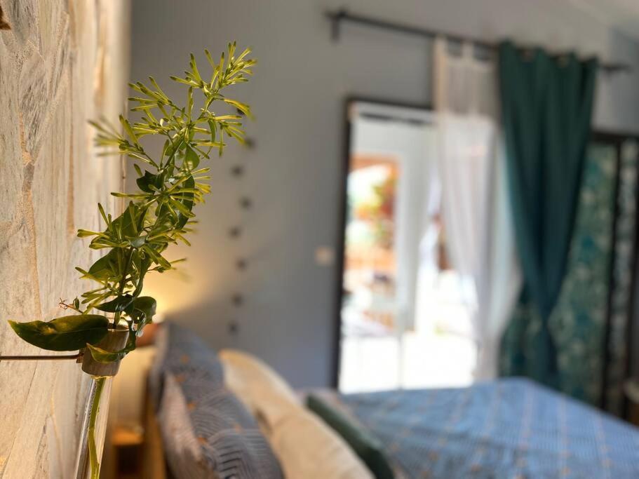 Cocooning Tropic Studio Avec Jacuzzi Privatif サン・ルイ エクステリア 写真