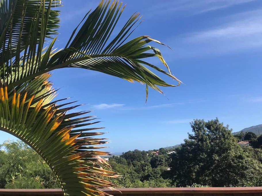 Cocooning Tropic Studio Avec Jacuzzi Privatif サン・ルイ エクステリア 写真