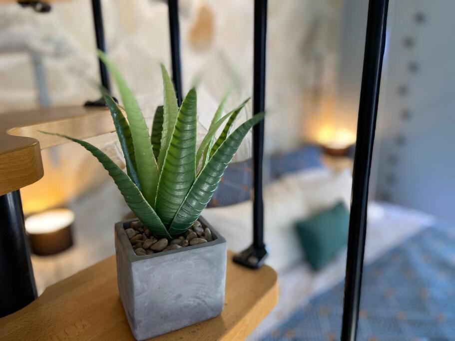 Cocooning Tropic Studio Avec Jacuzzi Privatif サン・ルイ エクステリア 写真